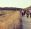 Paseo forastero